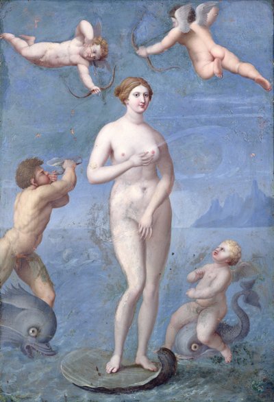 Venus by Jacques Stella